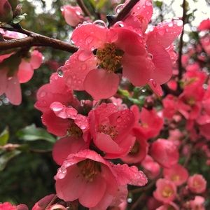 Meet your Posher, Katarina